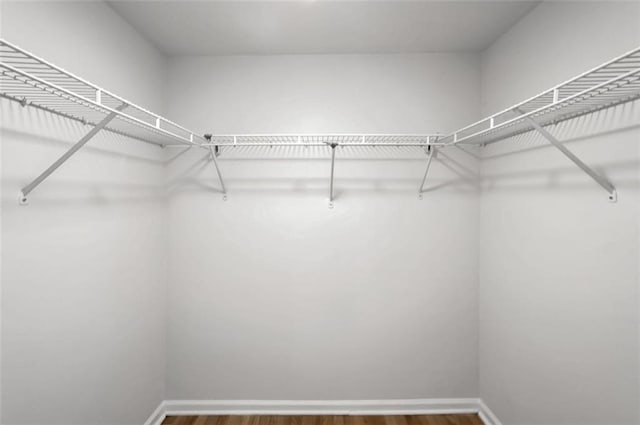 spacious closet featuring hardwood / wood-style flooring