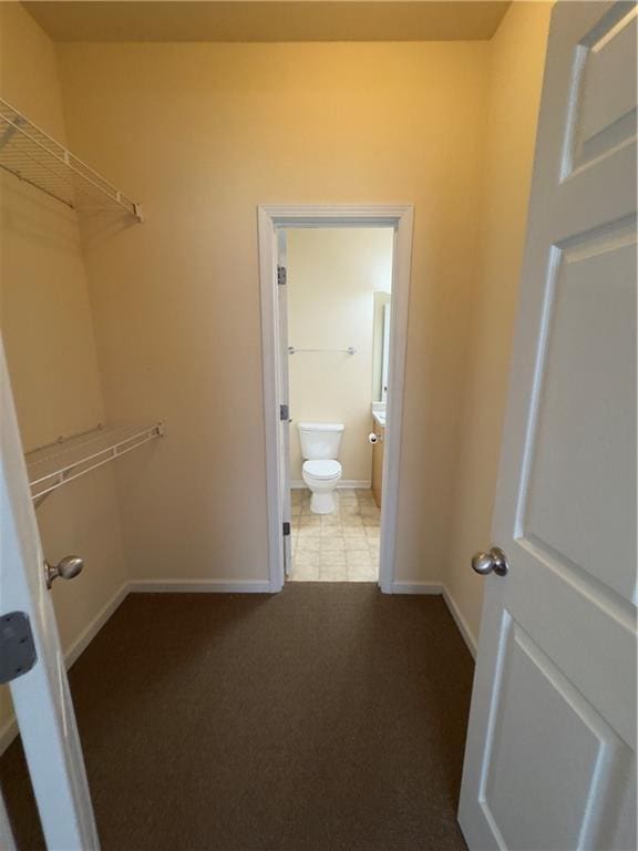 118 Pointe Cir, Dahlonega, GA 30533 - walk in closet with carpet