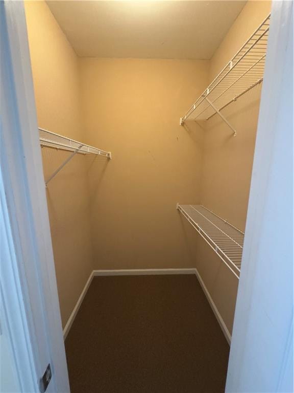 118 Pointe Cir, Dahlonega, GA 30533 - view of walk in closet