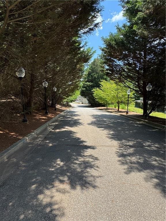 118 Pointe Cir, Dahlonega, GA 30533 - view of asphalt road with street lights and curbs