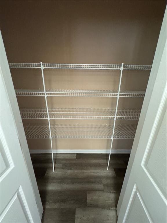 118 Pointe Cir, Dahlonega, GA 30533 - view of pantry