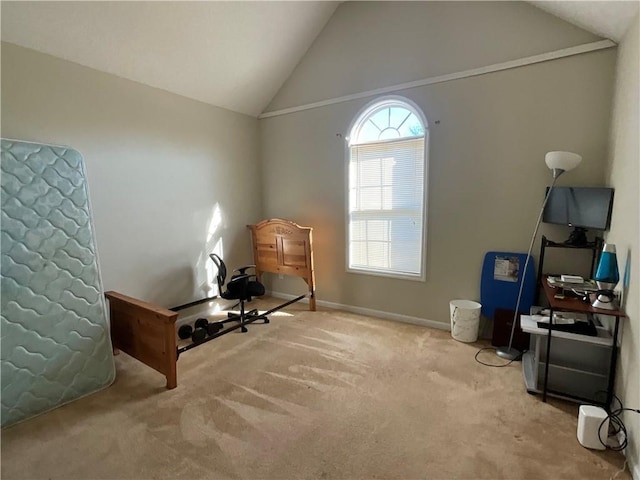 living area featuring light colored carpet and vaulted ceiling