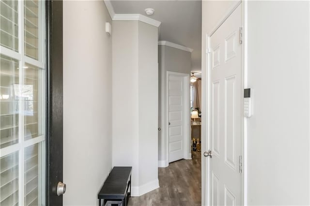 hall with ornamental molding and dark hardwood / wood-style flooring