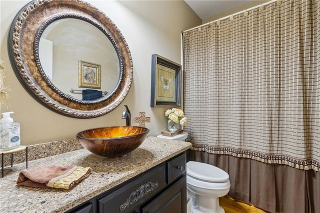 bathroom featuring wood finished floors, vanity, toilet, and curtained shower