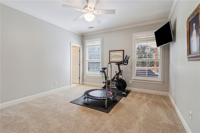 exercise area featuring carpet, visible vents, ornamental molding, and baseboards