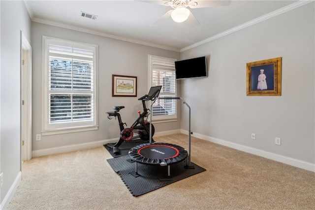 workout room with ceiling fan, carpet flooring, visible vents, baseboards, and ornamental molding