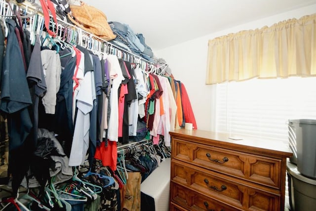 view of walk in closet