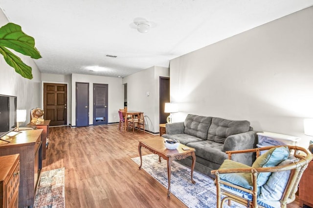 living room featuring wood-type flooring