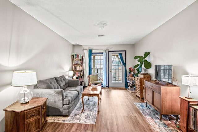 living room featuring wood-type flooring