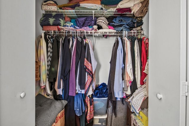 view of walk in closet