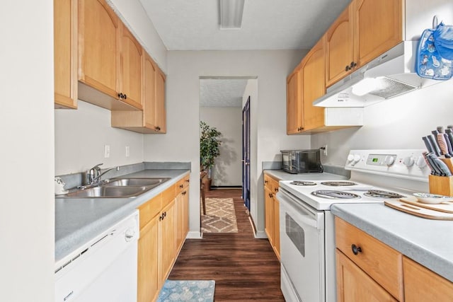 kitchen with sink, white appliances, a textured ceiling, dark hardwood / wood-style flooring, and light brown cabinets