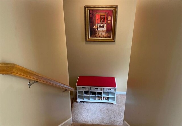 staircase featuring carpet