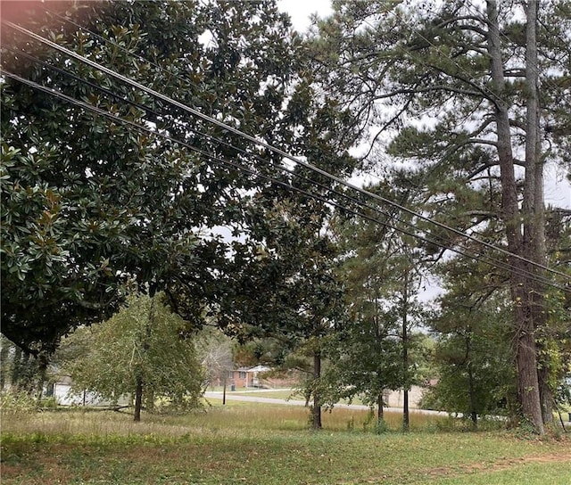 217 Gaston Westbrook Ave, Emerson GA, 30137 land for sale