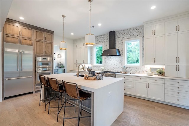 kitchen featuring appliances with stainless steel finishes, a sink, wall chimney exhaust hood, and light wood-type flooring
