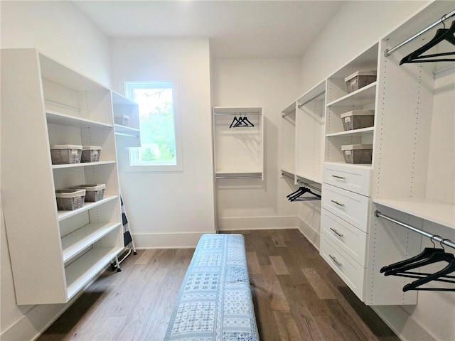 walk in closet featuring dark wood-style flooring