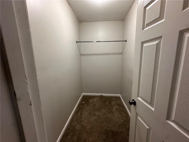 8 Hazel St, Porterdale, GA 30014 - walk in closet featuring carpet flooring