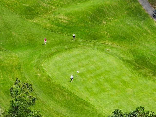 bird's eye view