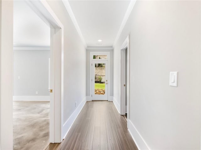 hallway with ornamental molding and hardwood / wood-style floors