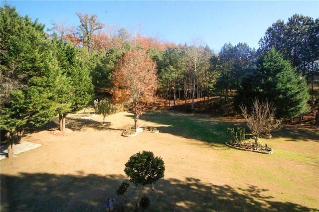 3554 Umatilla Ln SW, South Fulton, GA 30331 - view of yard