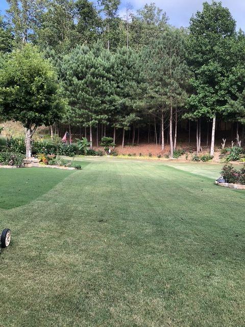3554 Umatilla Ln SW, South Fulton, GA 30331 - view of green lawn
