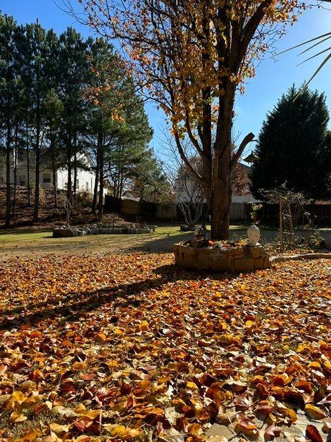 3554 Umatilla Ln SW, South Fulton, GA 30331 - view of yard