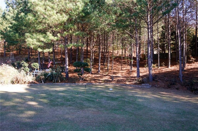 3554 Umatilla Ln SW, South Fulton, GA 30331 - view of yard