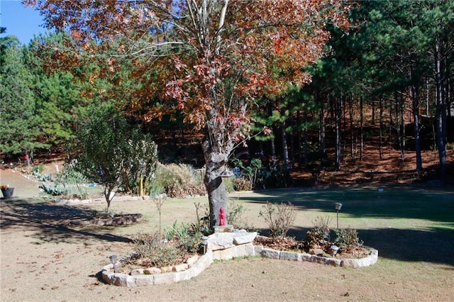 3554 Umatilla Ln SW, South Fulton, GA 30331 - view of grassy yard