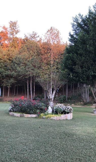 3554 Umatilla Ln SW, South Fulton, GA 30331 - view of green lawn