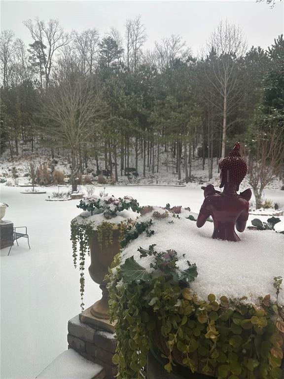 3554 Umatilla Ln SW, South Fulton, GA 30331 - view of yard layered in snow