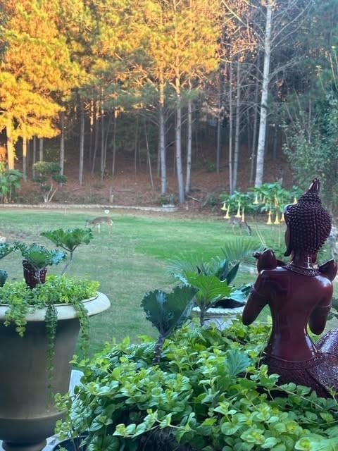 3554 Umatilla Ln SW, South Fulton, GA 30331 - view of yard