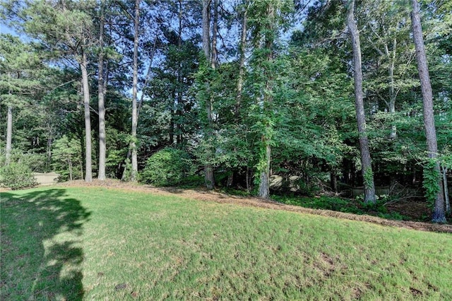 1723 Woodbow Path, Dacula, GA 30019 - view of grassy yard