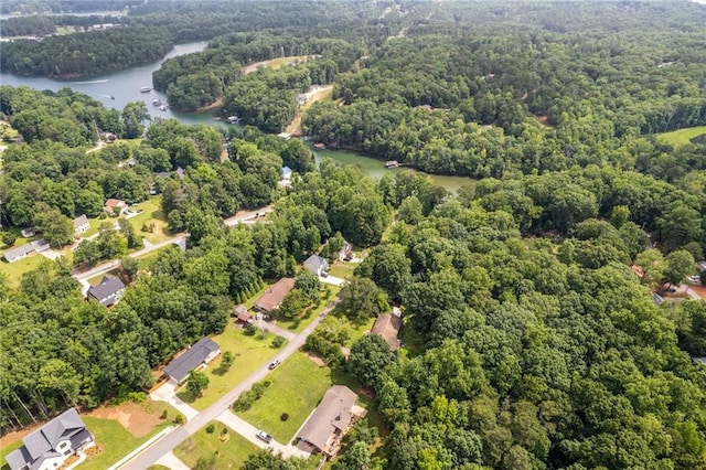6142 Hutchins Dr, Buford, GA 30518 - bird's eye view of a heavily wooded area and a large body of water