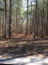 00 Jenkins Rd, Chattahoochee Hills GA, 30268 land for sale