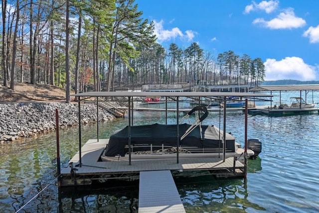 dock area with a water view