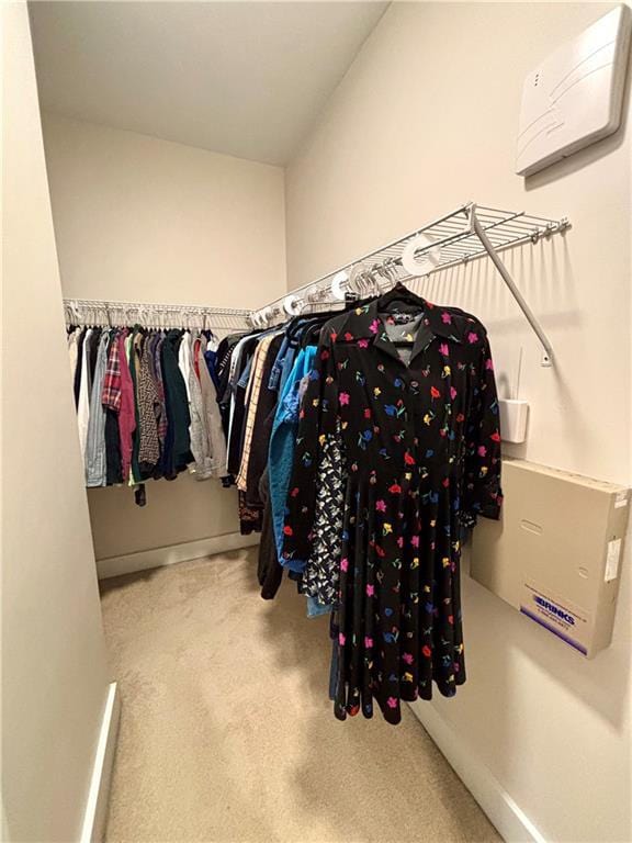 spacious closet featuring carpet floors