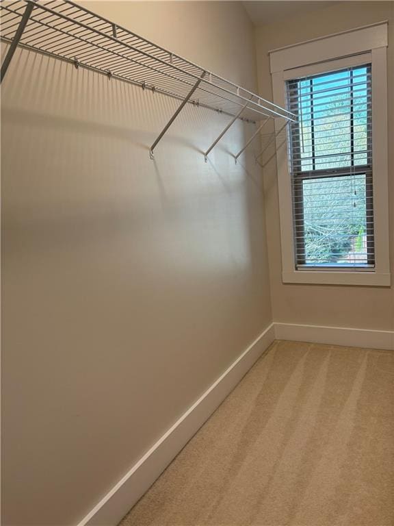 spacious closet featuring light colored carpet