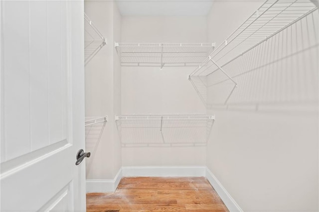 spacious closet featuring wood-type flooring