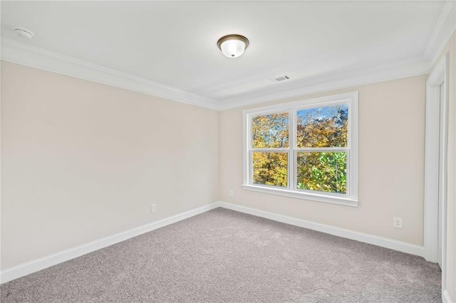 spare room with crown molding and carpet floors