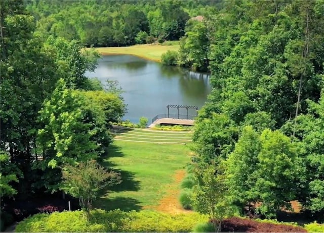 507 Bonneset Ct, Canton, GA 30114 - aerial view of a nearby body of water and a forest