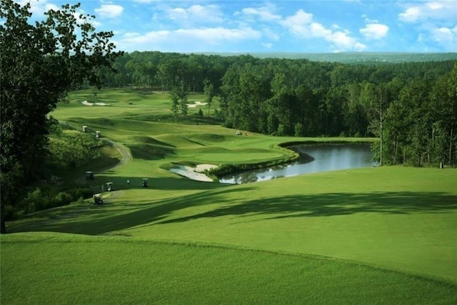 507 Bonneset Ct, Canton, GA 30114 - view of community with a water view, golf course view, a forest view, and a lawn