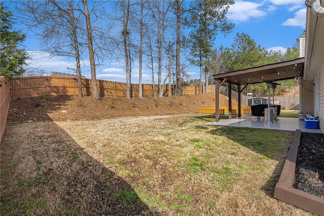 view of yard featuring a patio area and a fenced backyard