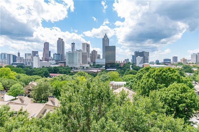 375 Ralph Mcgill Blvd NE Unit 807, Atlanta, GA 30312 - view of city