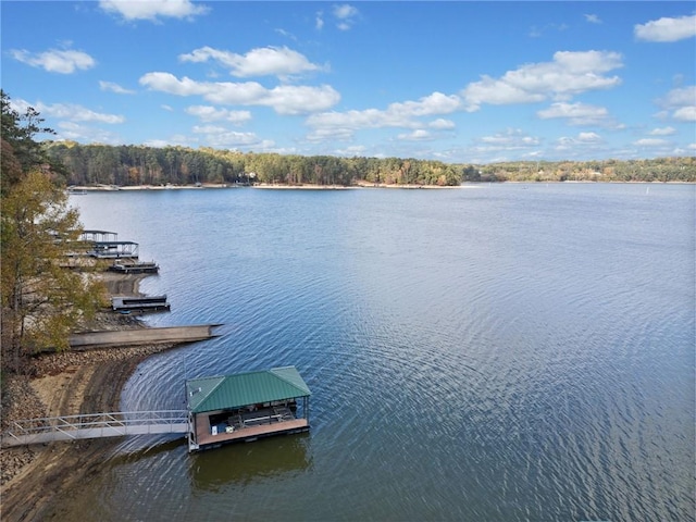 water view featuring a dock