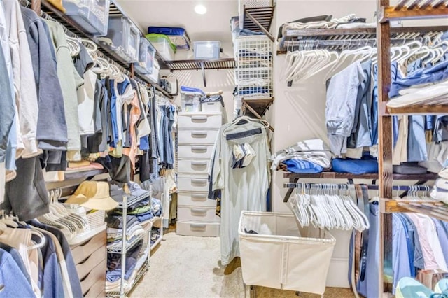 view of spacious closet