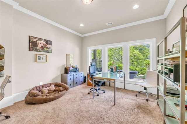 carpeted office with crown molding