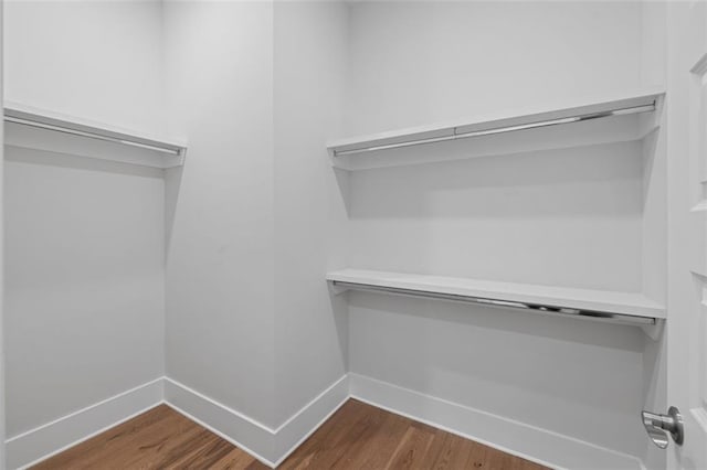 spacious closet featuring dark wood finished floors