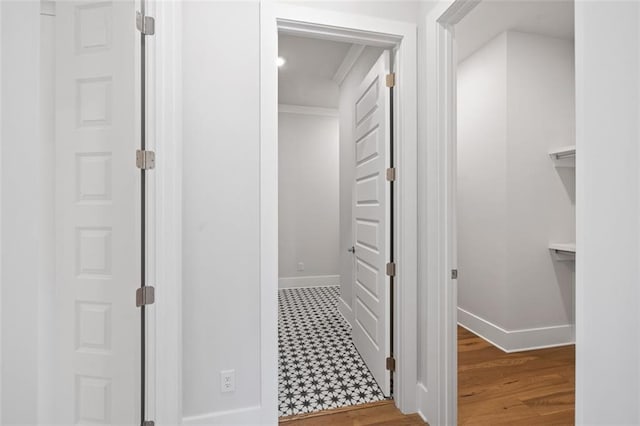 spacious closet featuring wood finished floors