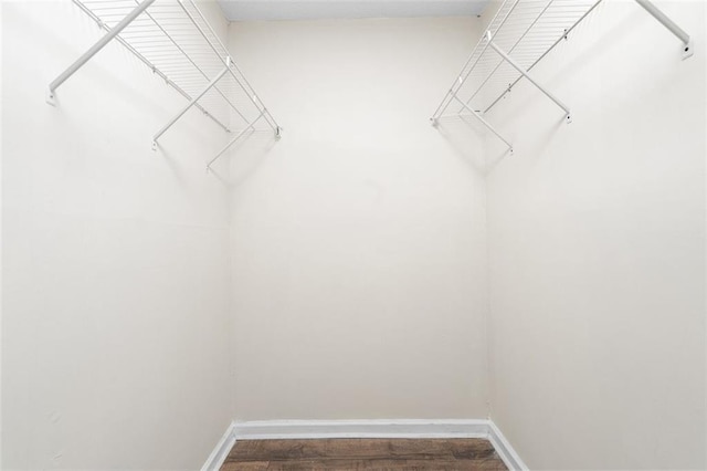 walk in closet with dark hardwood / wood-style floors