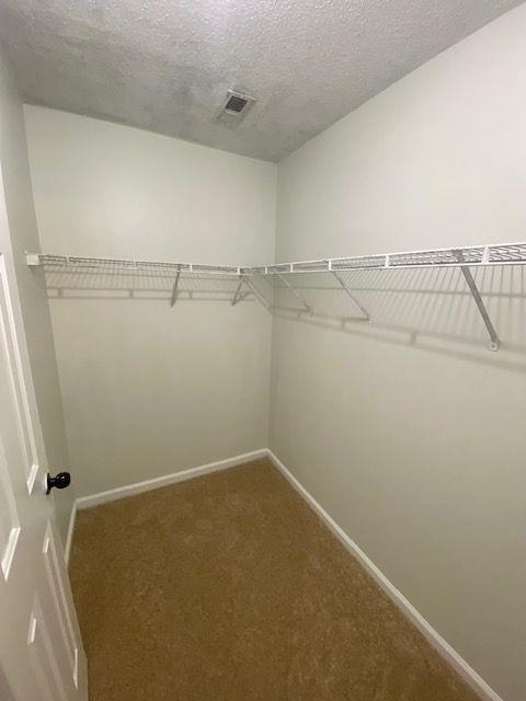 spacious closet with carpet floors