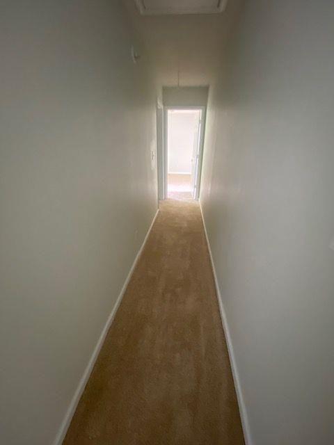 hallway featuring carpet